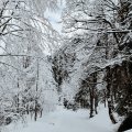 IMG_20240101_112737