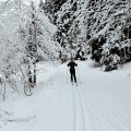 IMG_20240101_112909