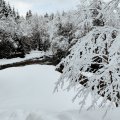 IMG_20240101_113051