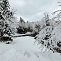 IMG_20240101_113059