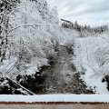 IMG_20240101_113230