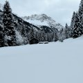 IMG_20240101_114452