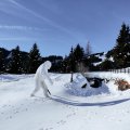 IMG_20240114_103758