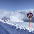 IMG_20240119_123405