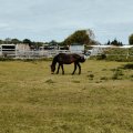 IMG_20240427_110307