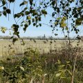 IMG_20240428_124511