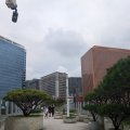 20240905_1721-01