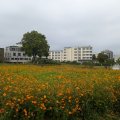 20240906_1436-03