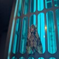 20240909_1934-02