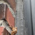 20240912_1131-04