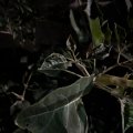 20240927_2008-04