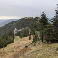 PXL_20241018_074704422