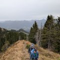 PXL_20241018_075824740