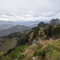 PXL_20241018_083416227