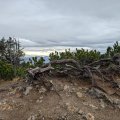PXL_20241018_084504675