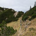 PXL_20241018_091052956