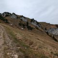 PXL_20241018_101704887