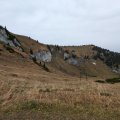 PXL_20241018_101712717