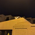 20241117_0113