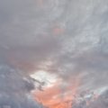 20241117_1812-03