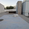 20241118_0741-01