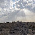 20241120_1611-01