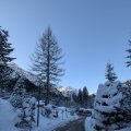 PXL_20241228_093654413