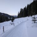 PXL_20241228_151504669
