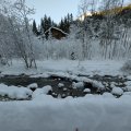 PXL_20241229_110646201