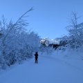 PXL_20241229_111739206