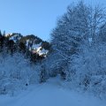 PXL_20241229_112255264