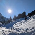 PXL_20241229_120721904