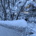 PXL_20241229_122028966