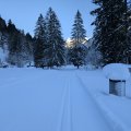 PXL_20241229_122557760
