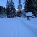 PXL_20241229_122612439