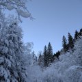 PXL_20241229_133950288
