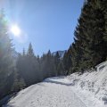 PXL_20241230_102750886