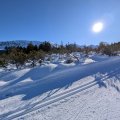 PXL_20241231_120046714