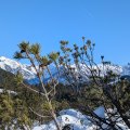 PXL_20241231_120119428
