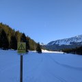 PXL_20241231_122410995