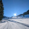 PXL_20241231_130934263