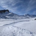 PXL_20250101_120353955