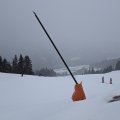 PXL_20250123_101201791.MP