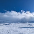 PXL_20250123_134554617