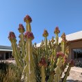 20250909_1057_ines-01
