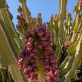 20250909_1057_ines-02