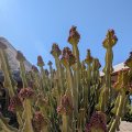 20250909_1057_ines-03