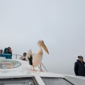 20250910_0909_nadja